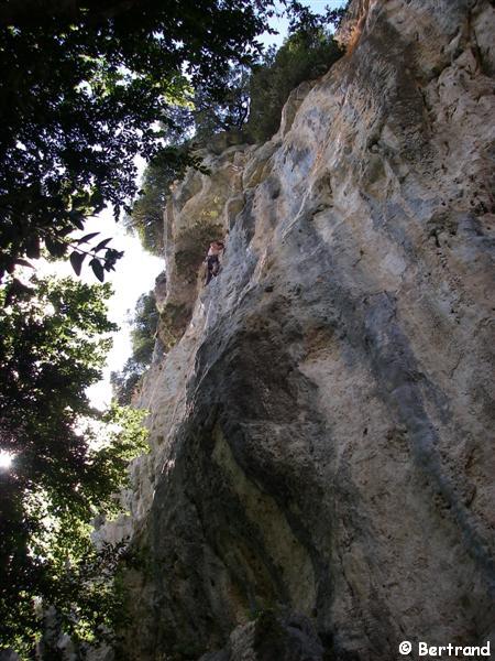 20070902 Bauchet  02.JPG